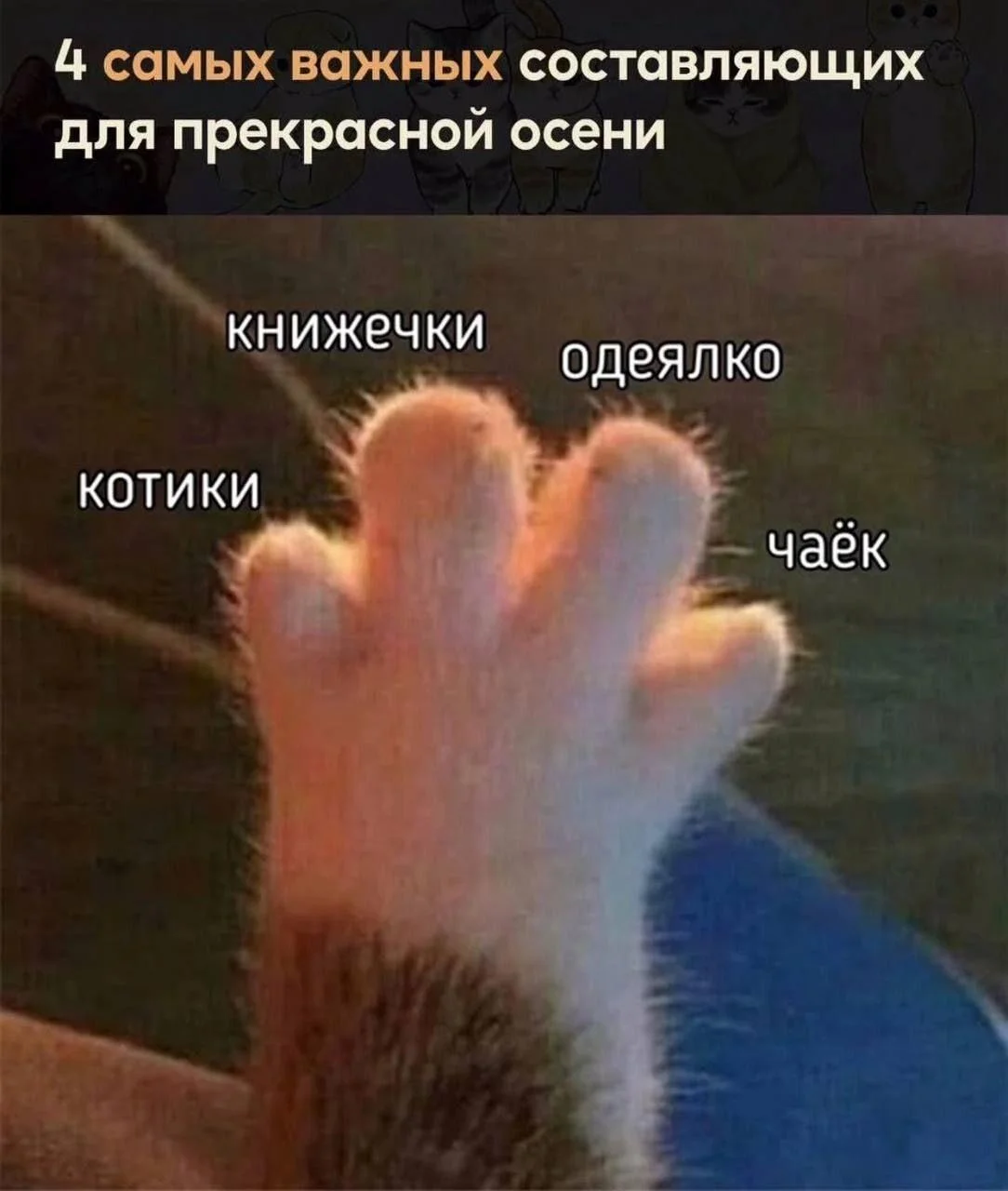 Осень в мемах: подборка, которая согреет мемы, осень, приколы, юмор, подборка