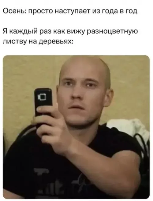 Осень в мемах: подборка, которая согреет мемы, осень, приколы, юмор, подборка