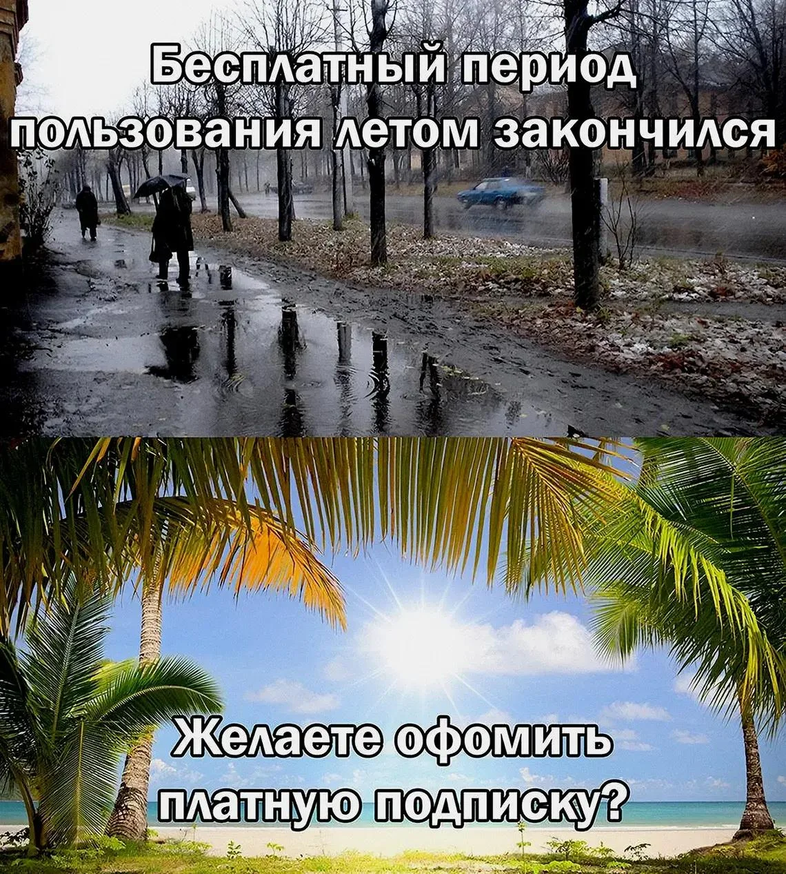 Осень в мемах: подборка, которая согреет мемы, осень, приколы, юмор, подборка