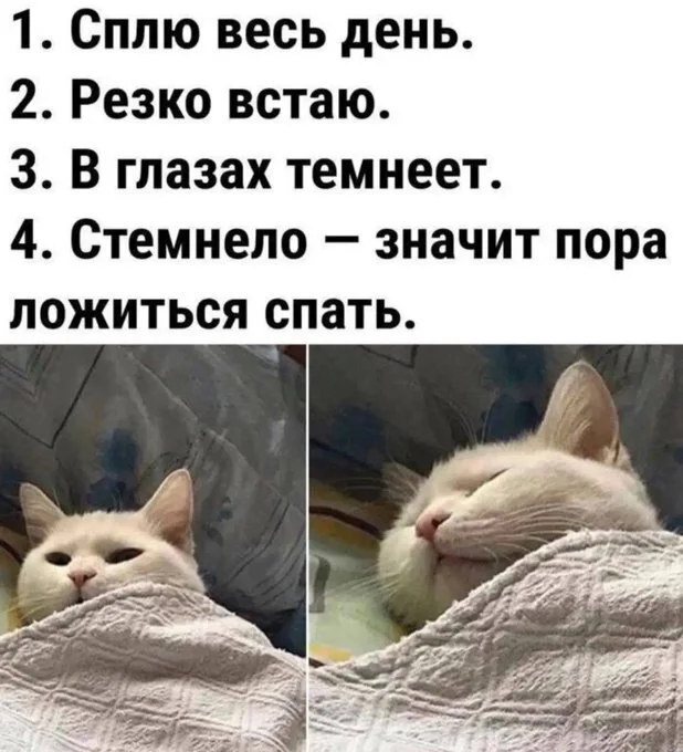 Утренняя порция смеха: как пережить понедельник мемы, приколы, понедельник, юмор, подборка