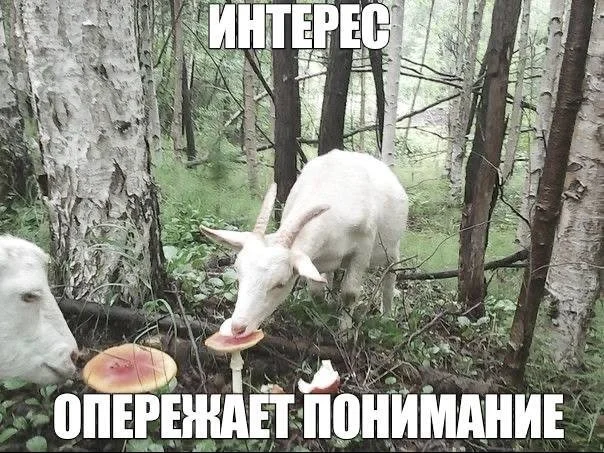 Утренняя порция смеха: как пережить понедельник мемы, приколы, понедельник, юмор, подборка