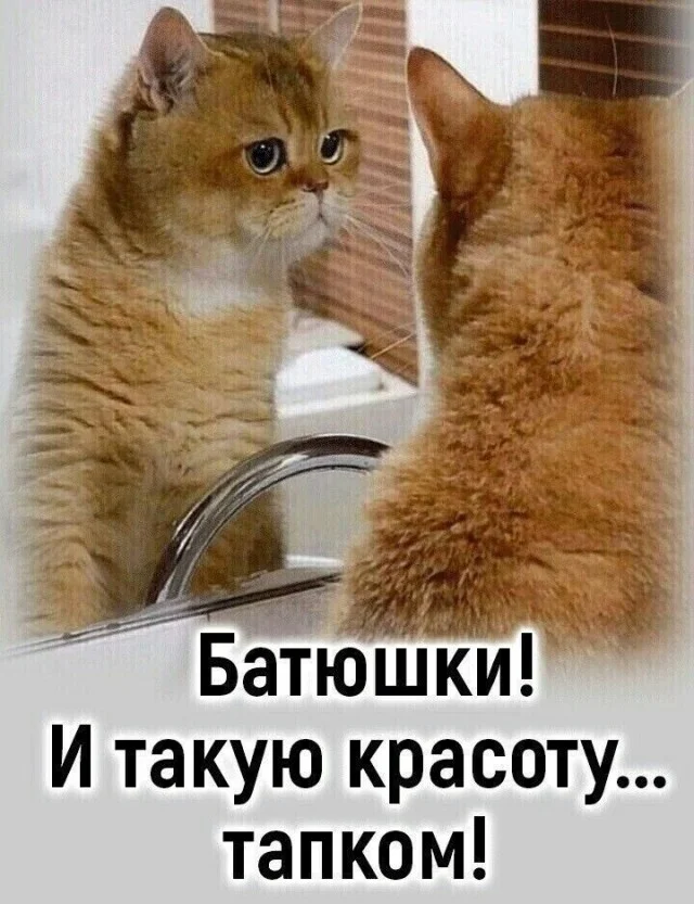 Утренняя порция смеха: как пережить понедельник мемы, приколы, понедельник, юмор, подборка