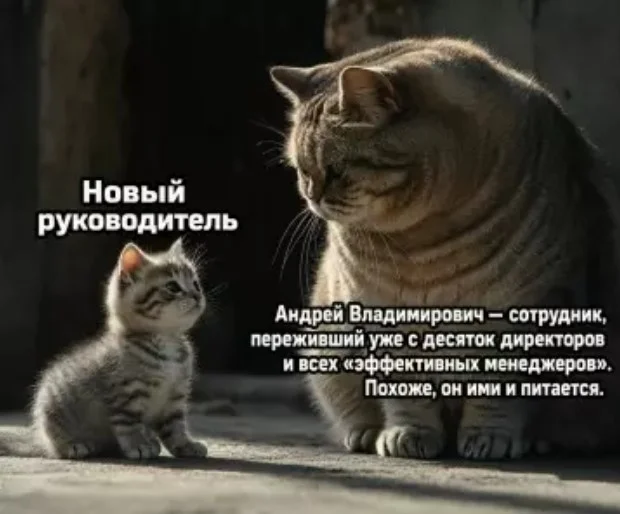Утренняя порция смеха: как пережить понедельник мемы, приколы, понедельник, юмор, подборка