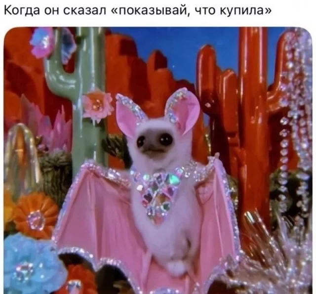Утренняя порция смеха: как пережить понедельник мемы, приколы, понедельник, юмор, подборка