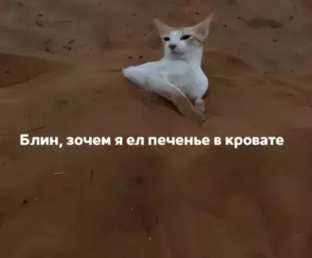 Утренняя порция смеха: как пережить понедельник мемы, приколы, понедельник, юмор, подборка