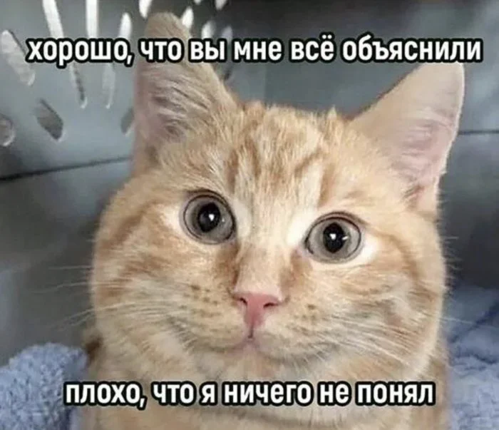 Утренний юмор: мемы про «нересурсных» героев и удивительный мир вокруг мемы, юмор, приколы, подборка