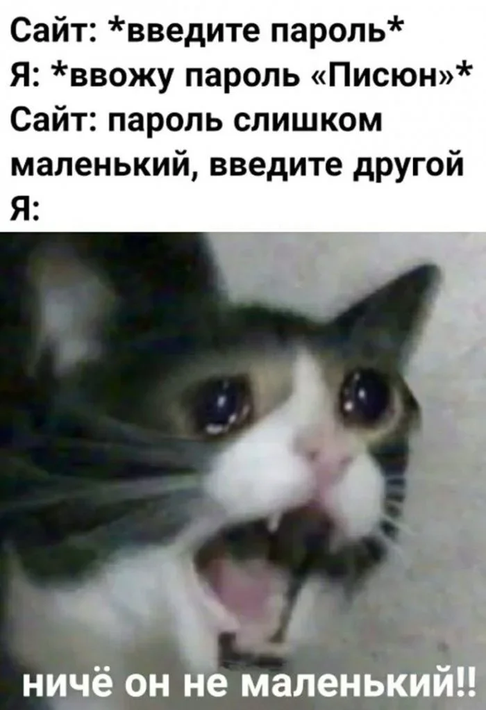 Утренний юмор: мемы про «нересурсных» героев и удивительный мир вокруг мемы, юмор, приколы, подборка