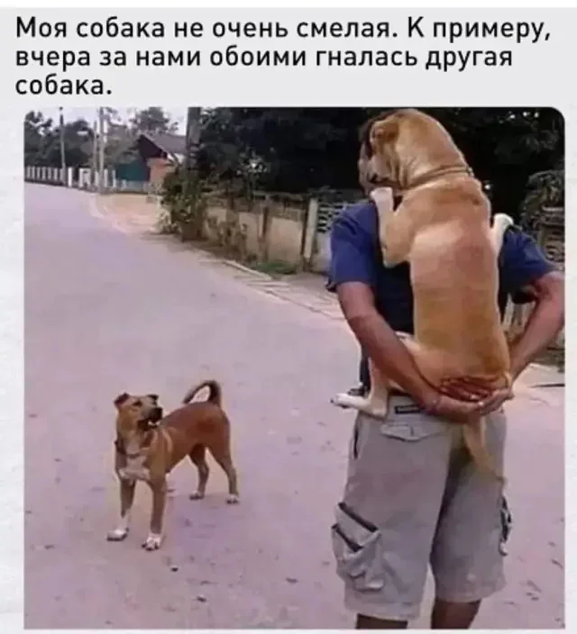 Утренний юмор: мемы про «нересурсных» героев и удивительный мир вокруг мемы, юмор, приколы, подборка