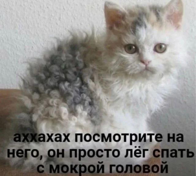 Утренний юмор: мемы про «нересурсных» героев и удивительный мир вокруг мемы, юмор, приколы, подборка