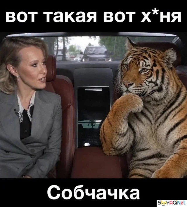 Смехопанорама: порция дикого угара приколы, мемы, картинки, юмор