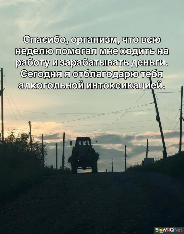 Смехопанорама: порция дикого угара приколы, мемы, картинки, юмор