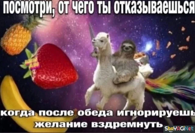 Смехопанорама: порция дикого угара приколы, мемы, картинки, юмор
