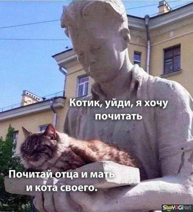Смехопанорама: порция дикого угара приколы, мемы, картинки, юмор