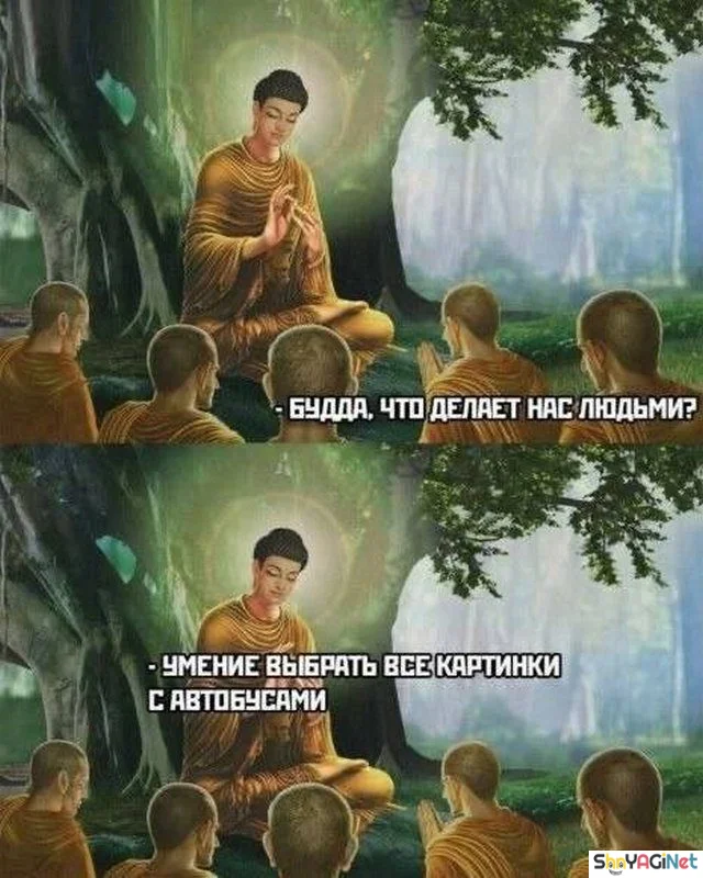 Смехопанорама: порция дикого угара приколы, мемы, картинки, юмор
