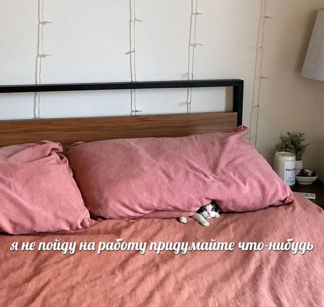 Юмор на утро: подборка мемов, которые развеселят даже нахлебника мемы, приколы, юмор, картинки, подборка