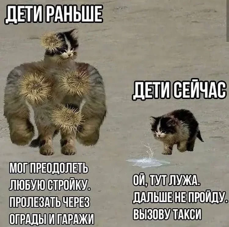 Юмор на утро: подборка мемов, которые развеселят даже нахлебника мемы, приколы, юмор, картинки, подборка