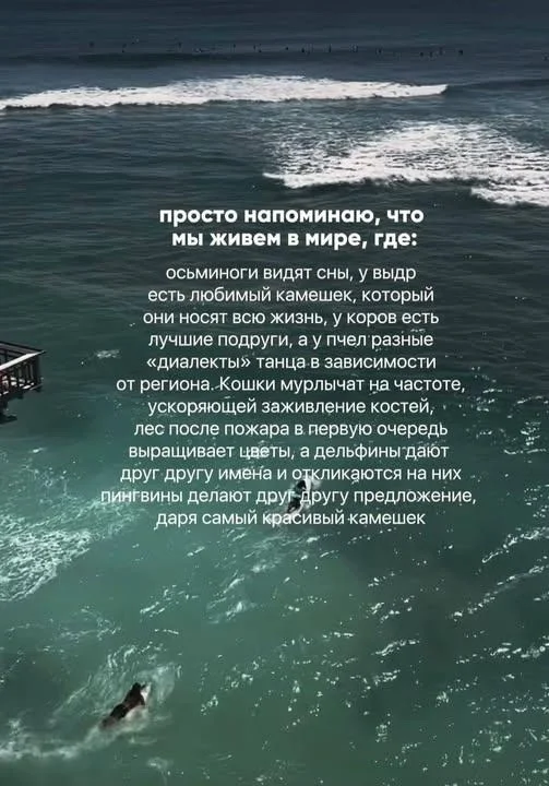 Маленькая пятница: заряжаемся позитивом мемы, приколы, среда, юмор, настроение