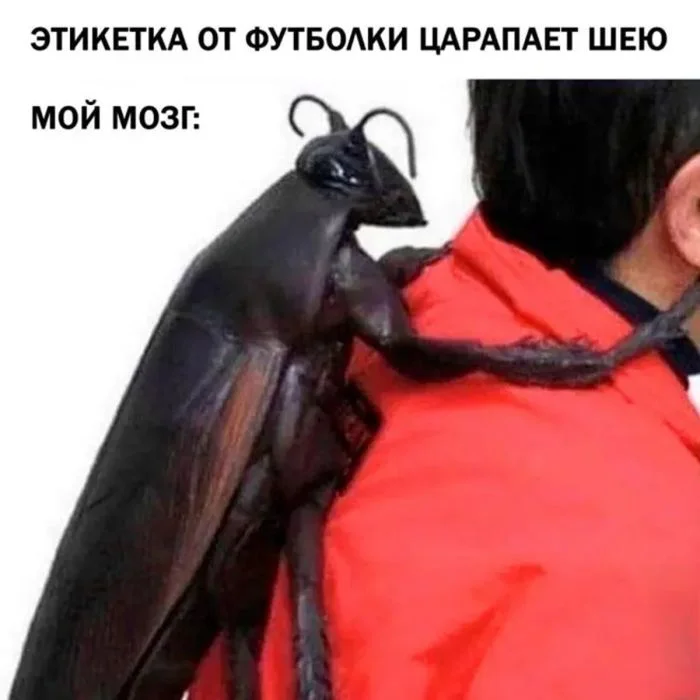 Порция мемов для бодрой среды