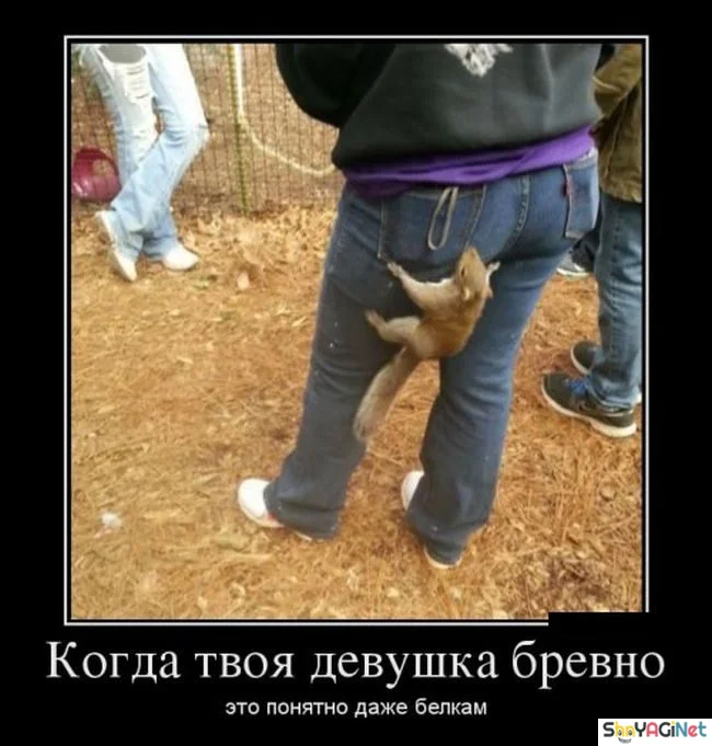 Подборка: 23 картинки, которые вырвут вас из реальности демотиваторы, приколы, юмор, картинки, подборка