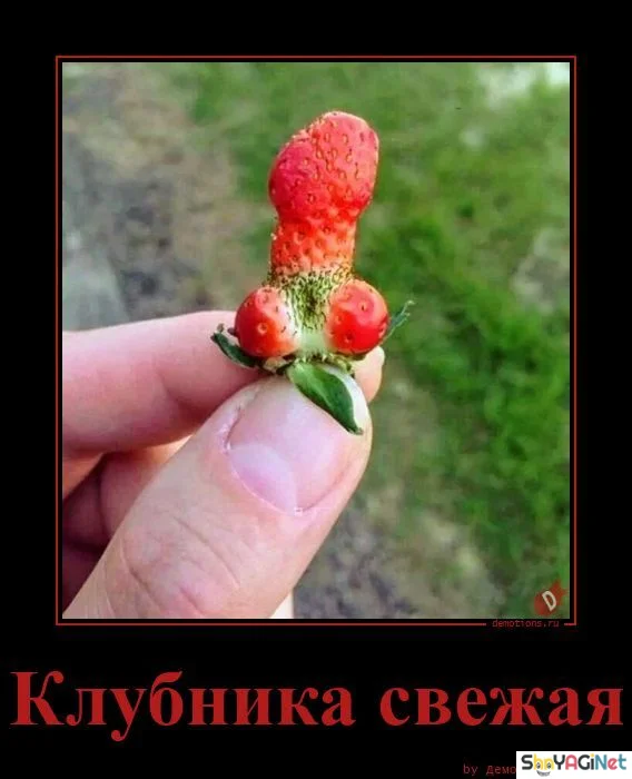 Подборка: 23 картинки, которые вырвут вас из реальности демотиваторы, приколы, юмор, картинки, подборка