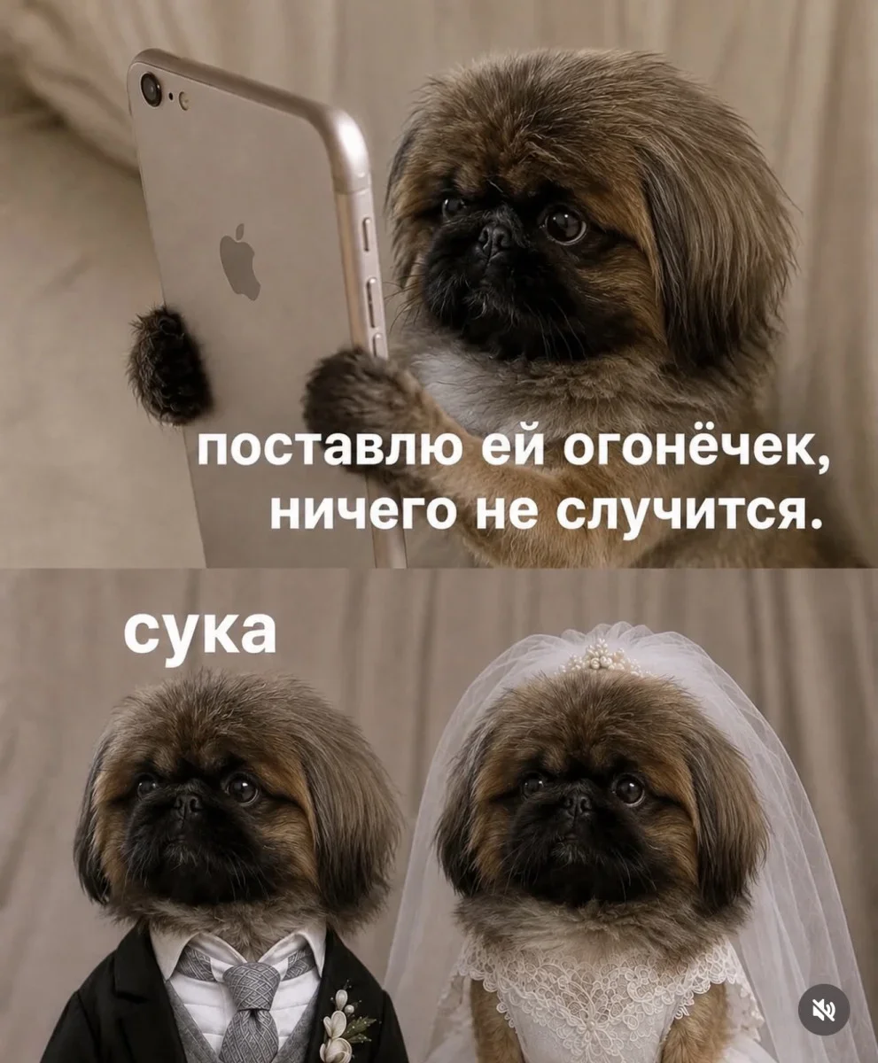 Доза смеха: мемы, которые попадают в самое сердце Доза смеха: мемы, которые попадают в самое сердце юмор, мемы, подборка, приколы
