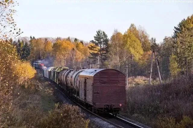 Осень в вагоне: 75 снимков поездов и рельсов осень, поезда, железная дорога, фотоподборка, пейзажи, рельсы, атмосфера, туман