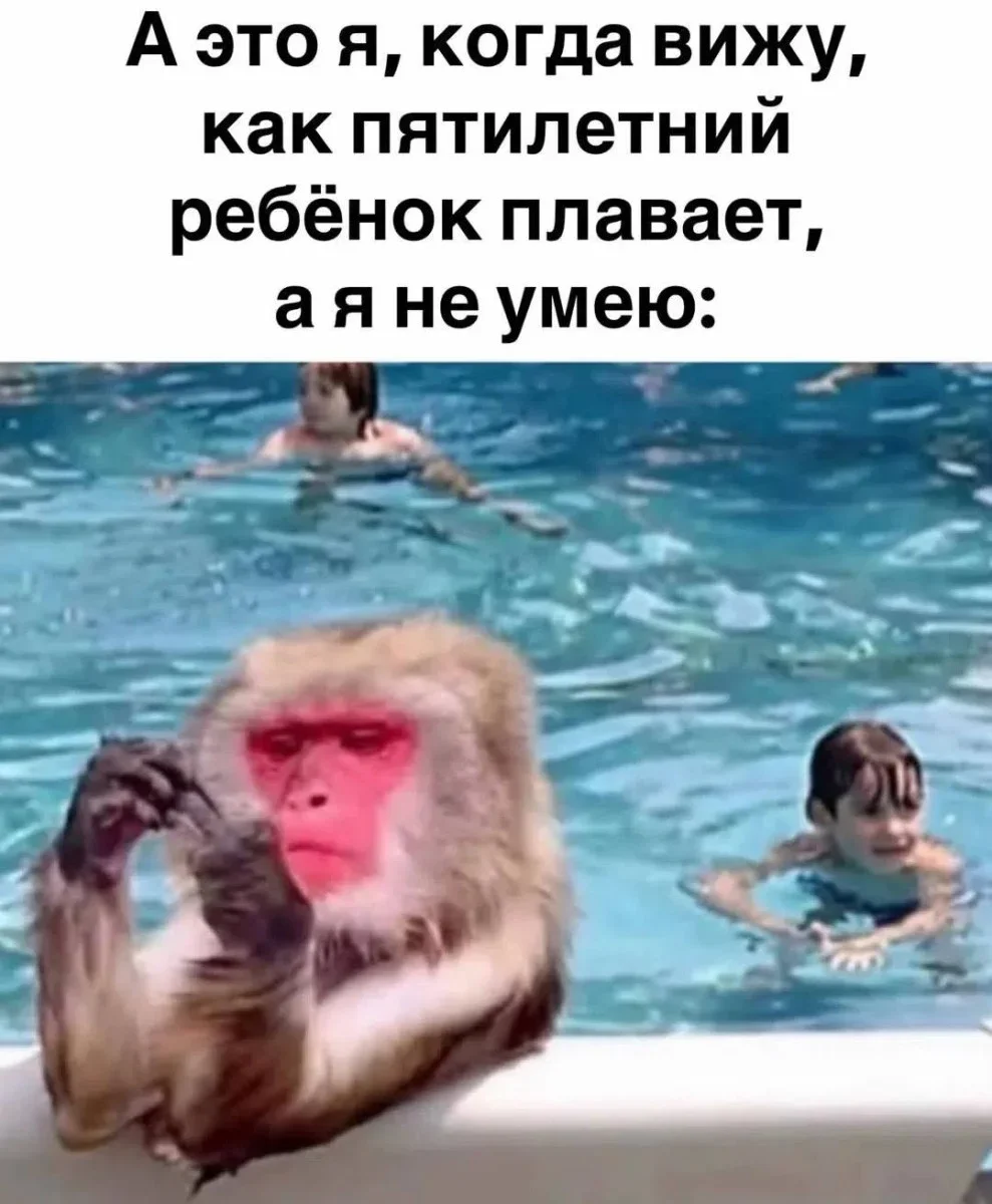 Мемы на утро 11 сентября: отвлекаемся после работы мемы, юмор, картинки, подборка, 11 сентября
