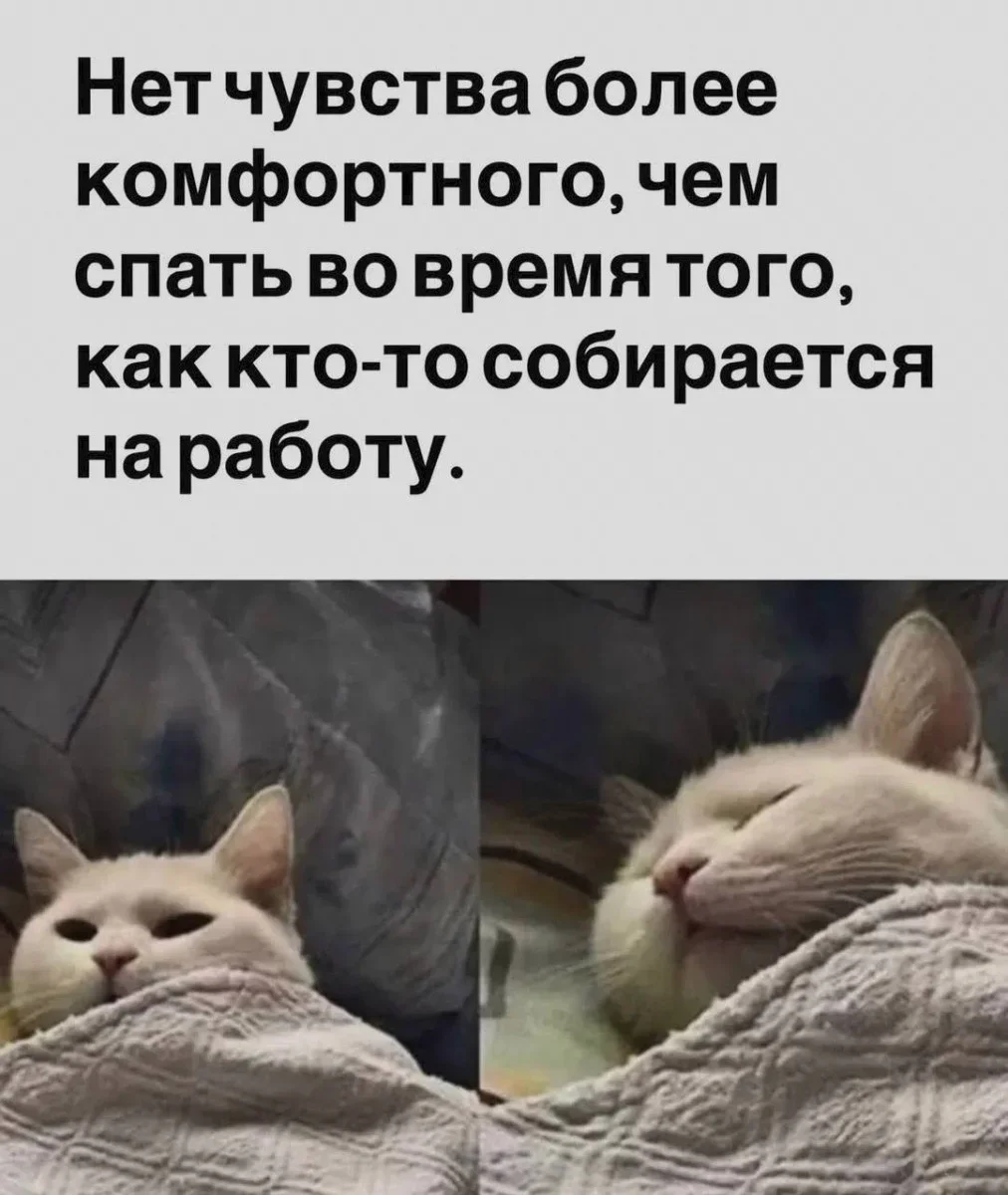 Мемы на утро 11 сентября: отвлекаемся после работы мемы, юмор, картинки, подборка, 11 сентября