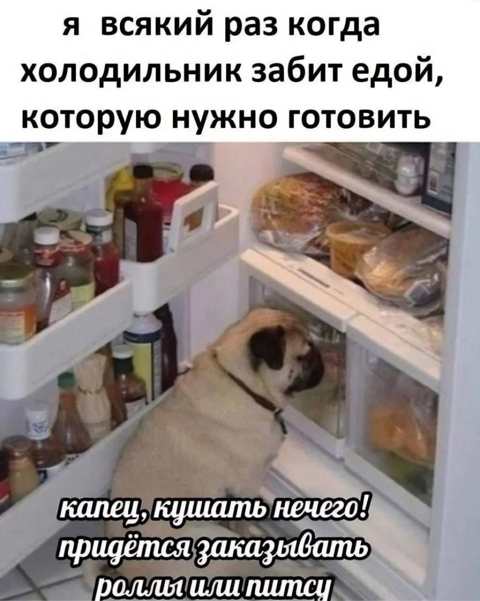 Мемы на утро 11 сентября: отвлекаемся после работы мемы, юмор, картинки, подборка, 11 сентября