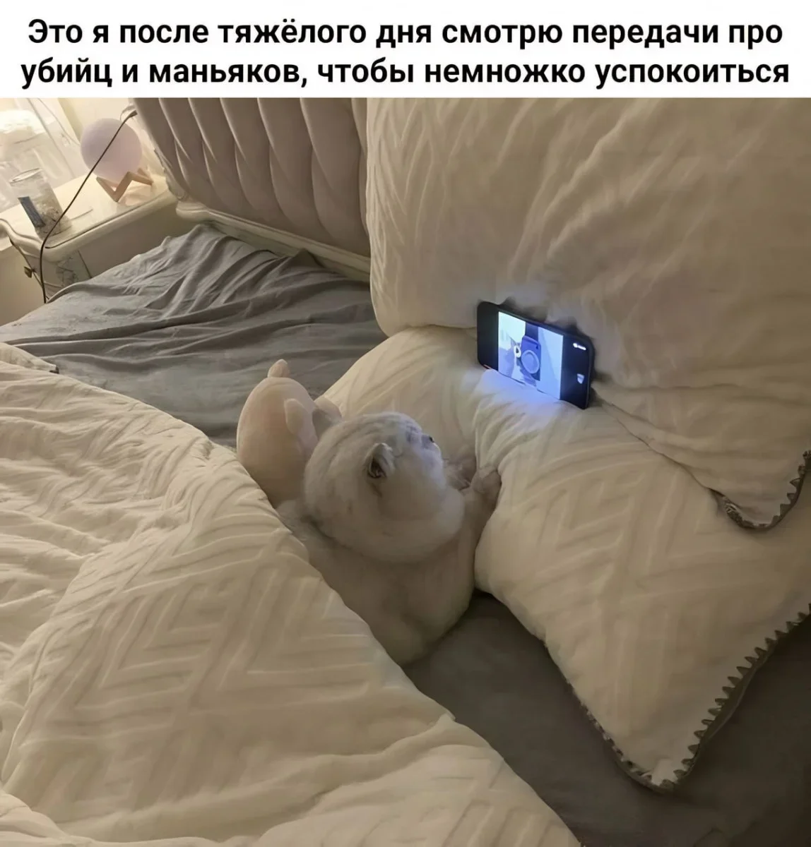 Мемы на утро 11 сентября: отвлекаемся после работы мемы, юмор, картинки, подборка, 11 сентября