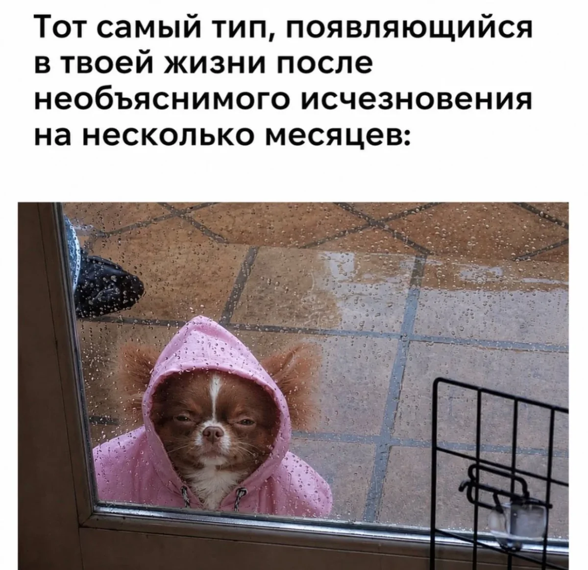 Мемы на утро 11 сентября: отвлекаемся после работы мемы, юмор, картинки, подборка, 11 сентября
