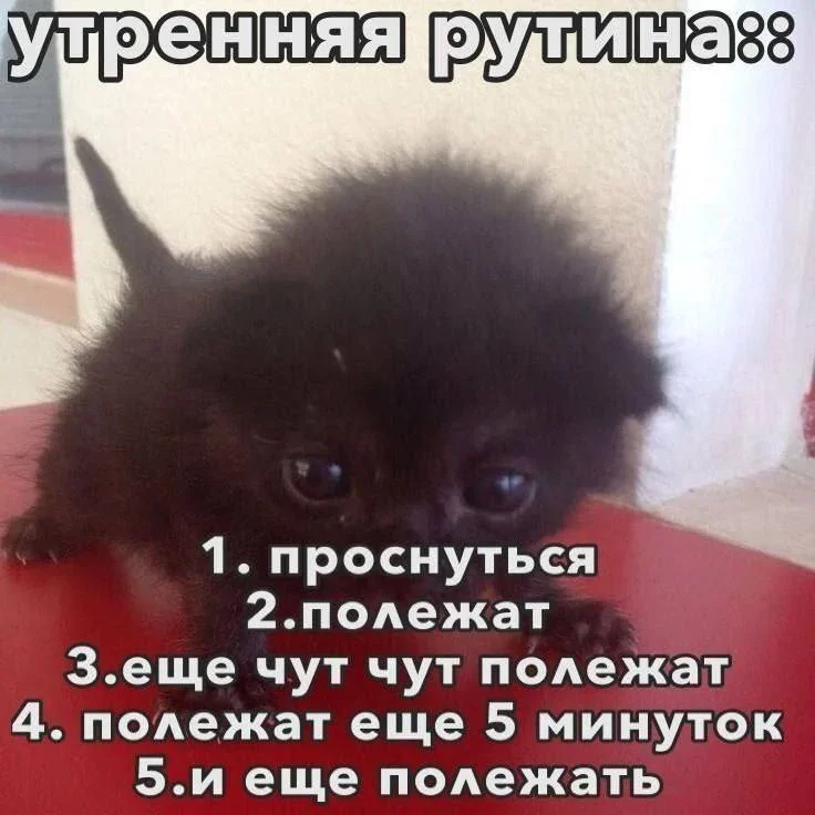 Мемы на утро 11 сентября: отвлекаемся после работы мемы, юмор, картинки, подборка, 11 сентября