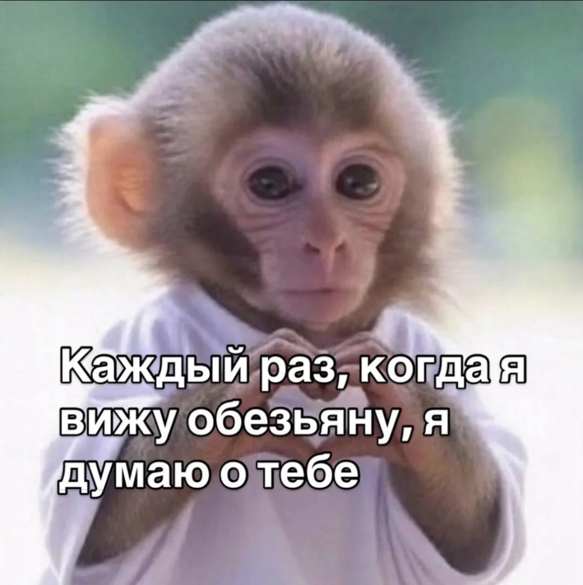 Мемы на утро 11 сентября: отвлекаемся после работы мемы, юмор, картинки, подборка, 11 сентября