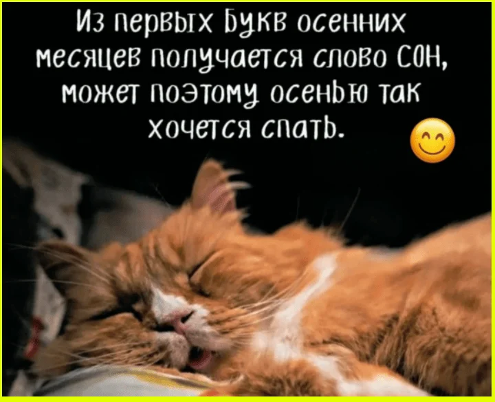 Пять соседей — пять судеб соседи, истории, юмор, подъезд, геолог, вахтовик, капитан, бабник