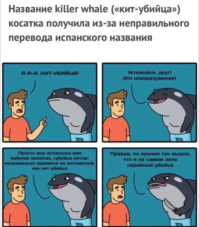 Улыбнись! Смешные картинки для быстрого перезапуска Улыбнись! Смешные картинки для быстрого перезапуска юмор, картинки, приколы, подборка, позитив