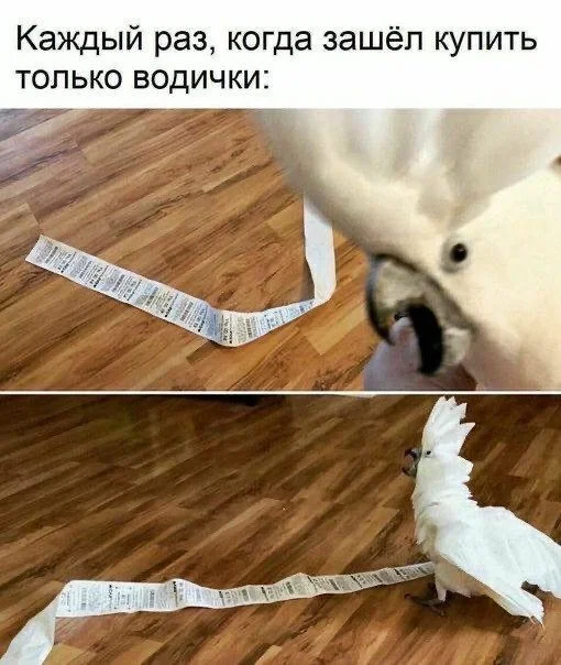 Улыбнись! Смешные картинки для быстрого перезапуска Улыбнись! Смешные картинки для быстрого перезапуска юмор, картинки, приколы, подборка, позитив