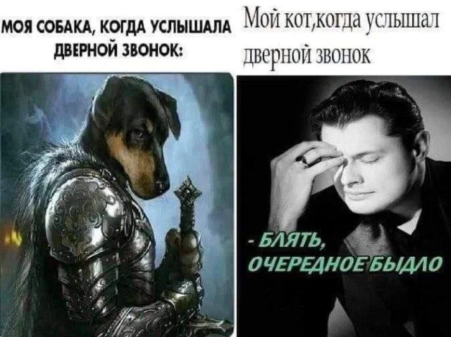 Улыбнись! Смешные картинки для быстрого перезапуска Улыбнись! Смешные картинки для быстрого перезапуска юмор, картинки, приколы, подборка, позитив