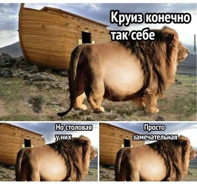15 картинок, которые заставят вас улыбнуться юмор, картинки, приколы, подборка, смешное