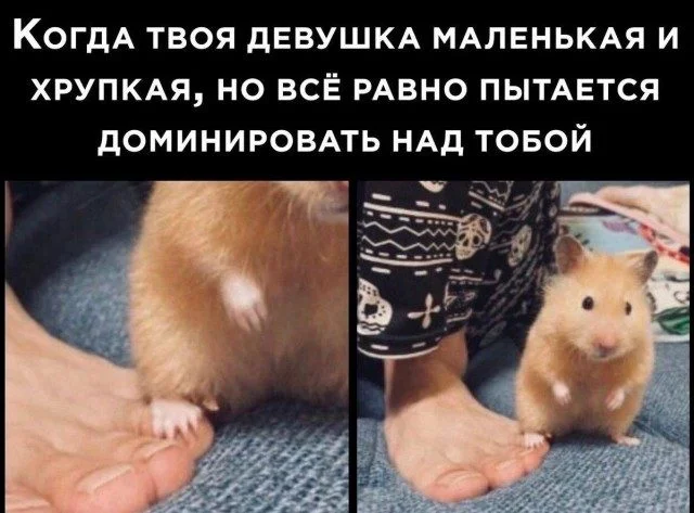 15 картинок, которые заставят вас улыбнуться юмор, картинки, приколы, подборка, смешное