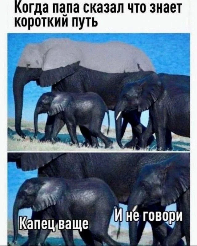 15 картинок, которые заставят вас улыбнуться юмор, картинки, приколы, подборка, смешное