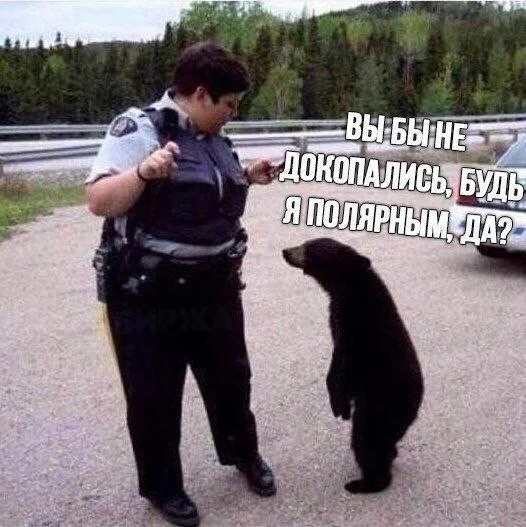 Улыбнись, сегодня можно! мемы, юмор, приколы, подборка, выходные