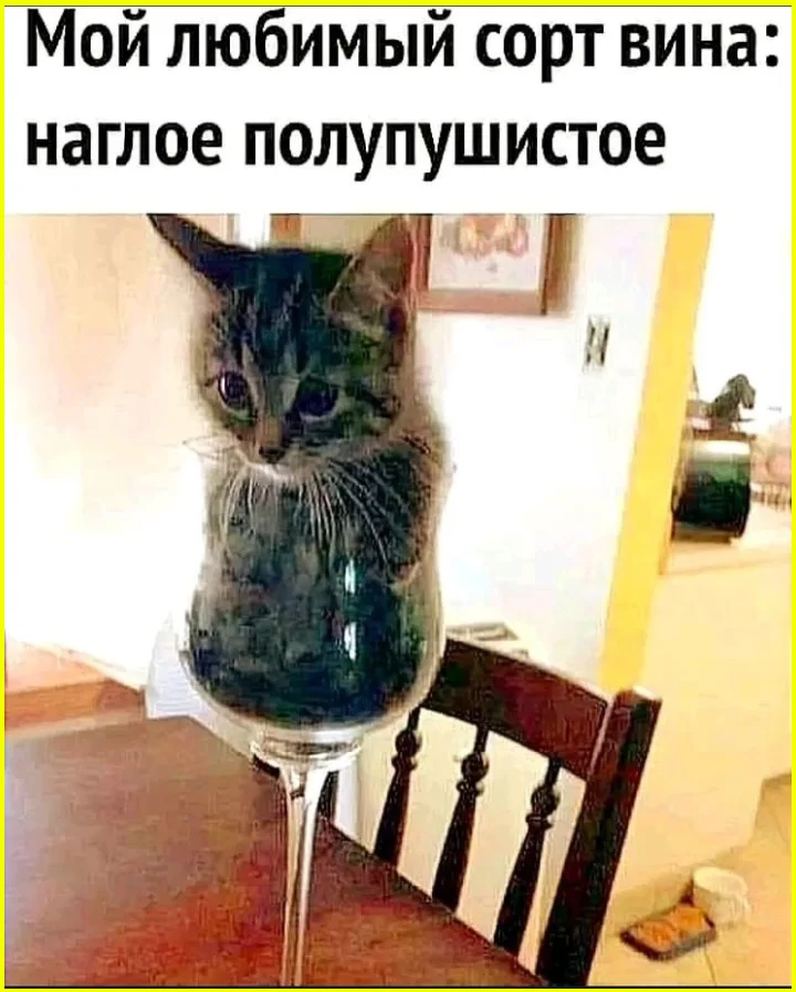 Когда еды нет, а аппетит есть аппетит, еда, юмор, картинки, приколы