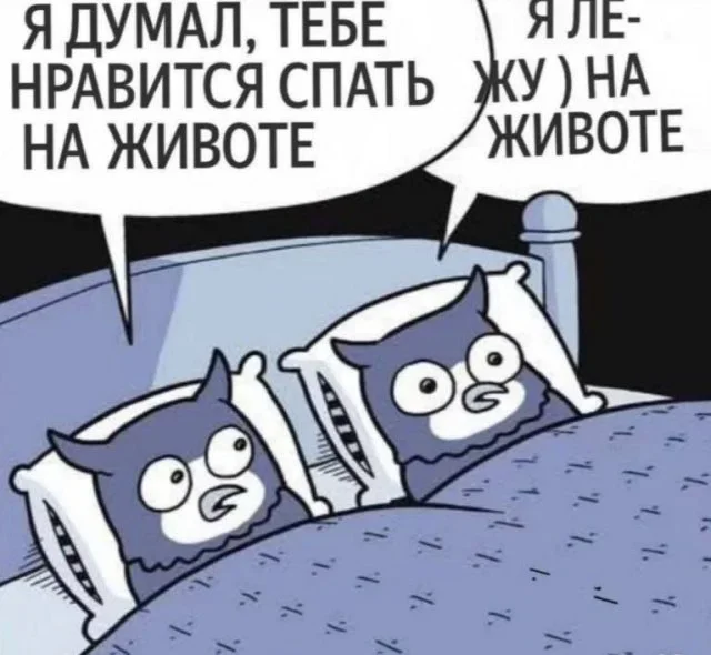 Утренний заряд смеха: мемы 13 сентября Утренний заряд смеха: мемы 13 сентября мемы, юмор, картинки, подборка, совы, корпоратив, лифт
