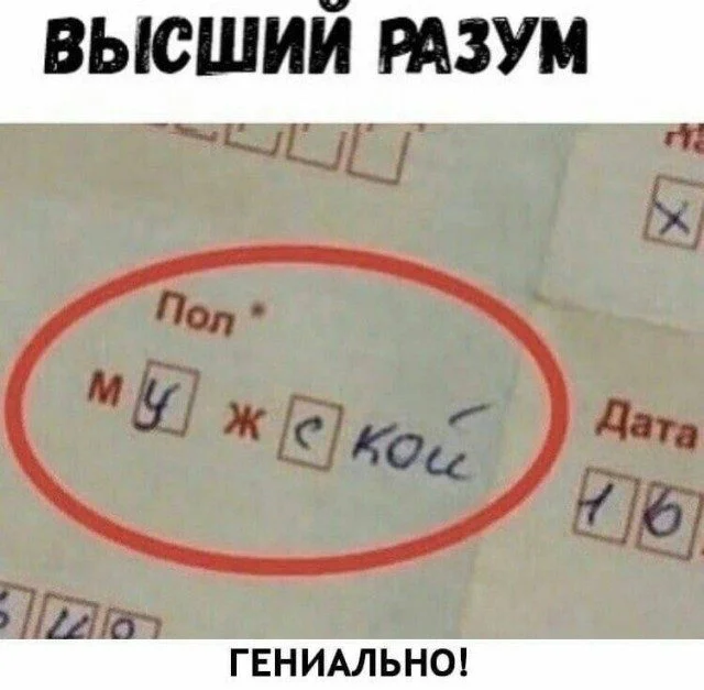 Случайно поймал момент: 15 кадров, от которых не оторваться