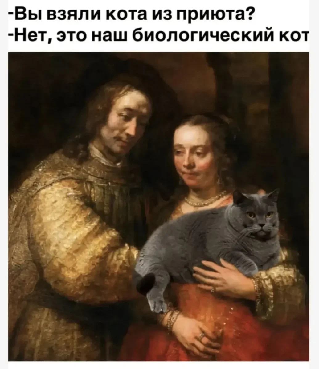 Айфон дуо и другие мемы недели мемы, юмор, картинки, айфон дуо, подборка