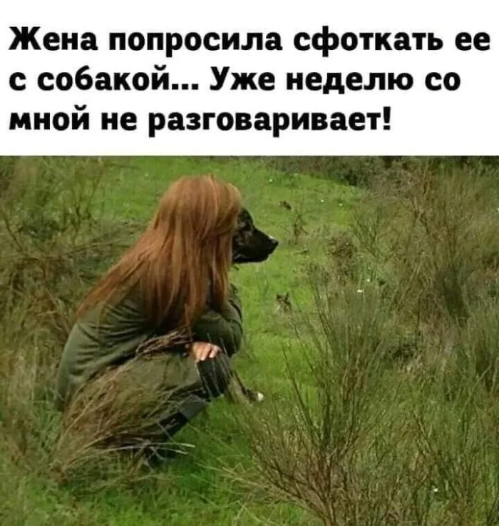 50 мемов, которые спасут ваш понедельник