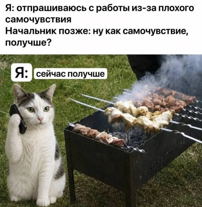 Мемы на понедельник: Лопес в стиралке и луковая шелуха мемы, юмор, картинки, подборка, смешное