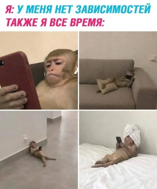 Мемы на понедельник: Лопес в стиралке и луковая шелуха мемы, юмор, картинки, подборка, смешное