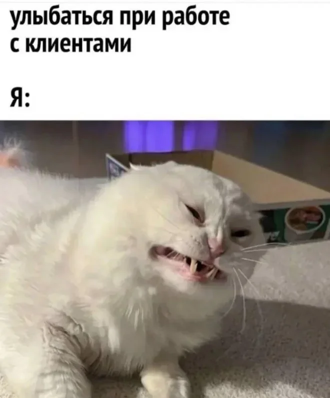 Мемы на понедельник: Лопес в стиралке и луковая шелуха мемы, юмор, картинки, подборка, смешное