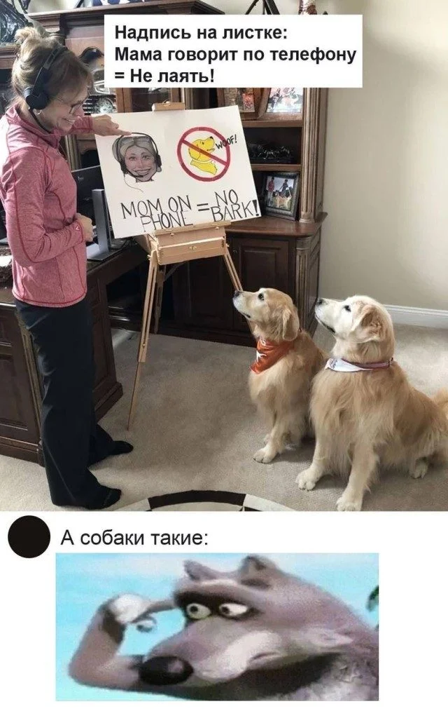 Мемы, которые спасут ваш день мемы, юмор, приколы, картинки, подборка